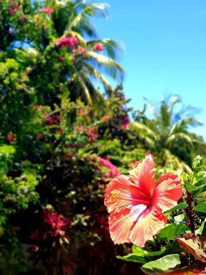 Gite 4 Etoiles, La Vieille Sucrerie St Claude Guadeloupe, Jacuzzi Spa Privatif, Vue Exceptionnelle Sur La Mer Des Caraibes 바스테르 펜션