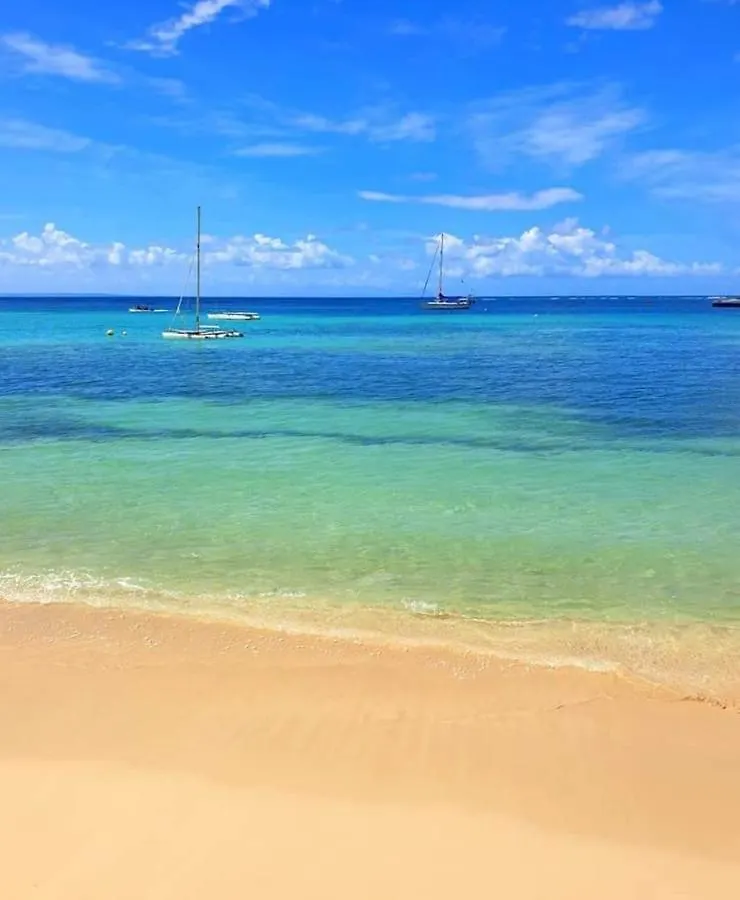 Gite 4 Etoiles, La Vieille Sucrerie St Claude Guadeloupe, Jacuzzi Spa Privatif, Vue Exceptionnelle Sur La Mer Des Caraibes 바스테르 펜션