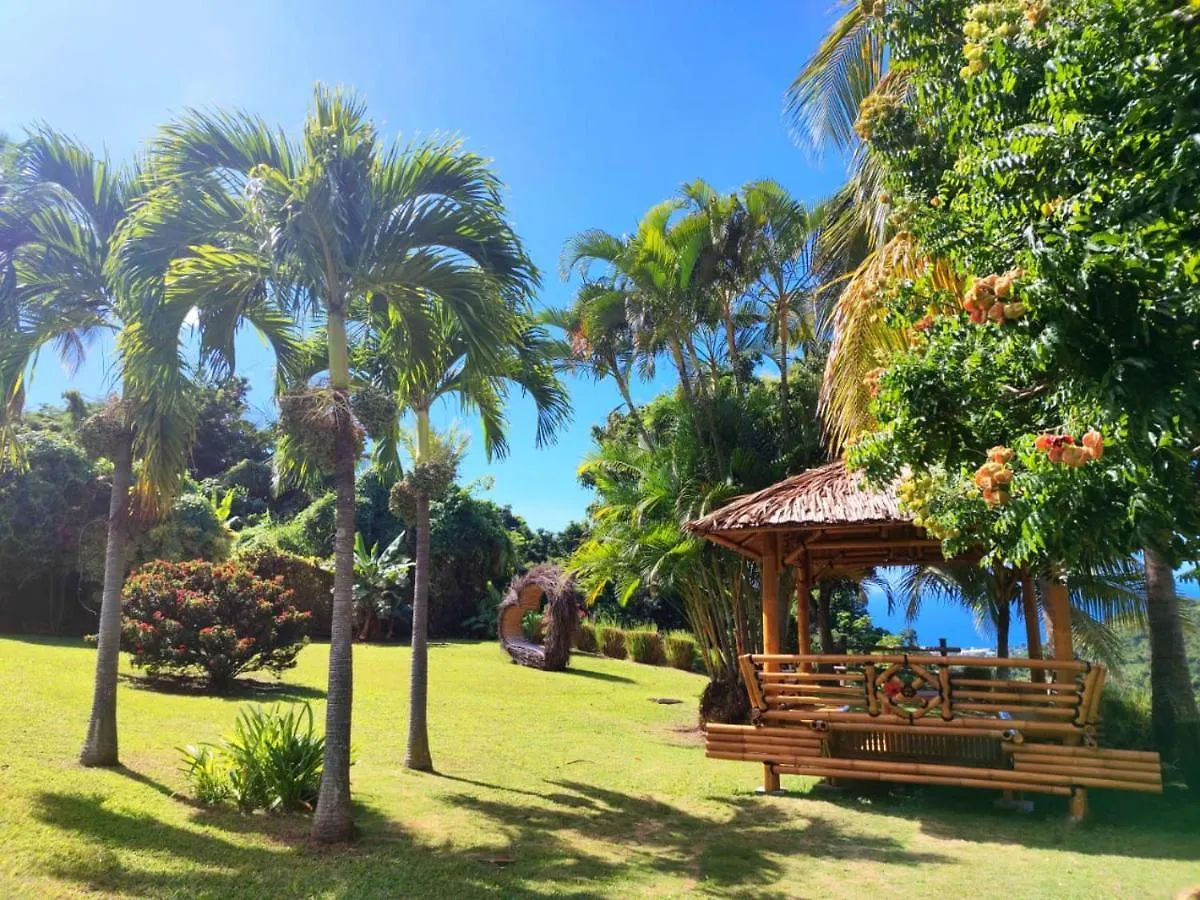 Gite 4 Etoiles, La Vieille Sucrerie St Claude Guadeloupe, Jacuzzi Spa Privatif, Vue Exceptionnelle Sur La Mer Des Caraibes 바스테르 펜션